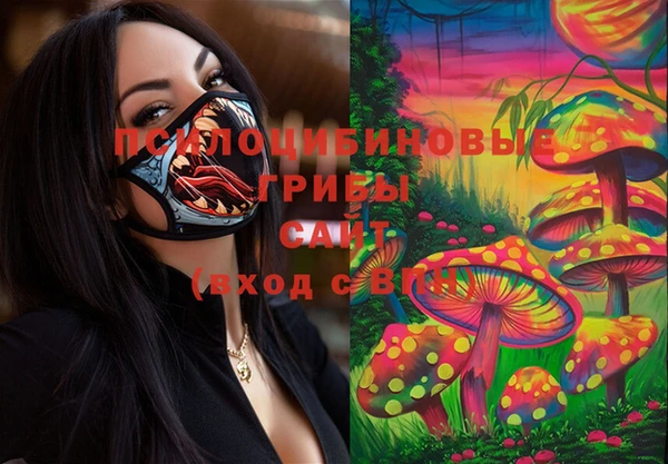 мяу мяу мука Абаза
