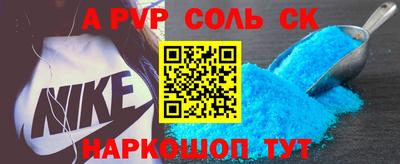 индика Можга