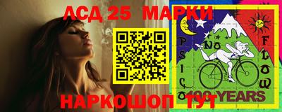 индика Можга