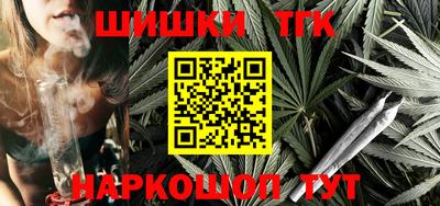 индика Можга