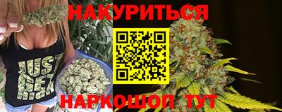 индика Можга