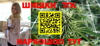 индика Можга