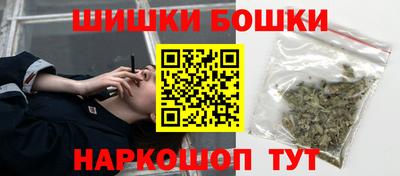 индика Моздок
