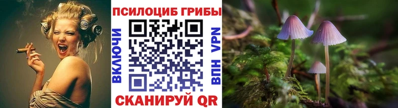 Галлюциногенные грибы Psilocybe  купить наркоту  Сызрань 