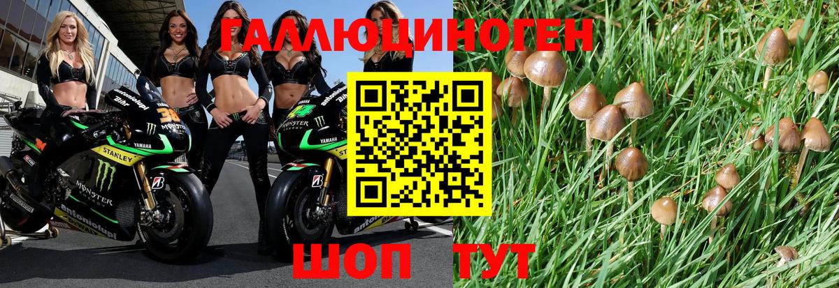 Галлюциногенные грибы Psilocybe  Вход с VPN  даркнет сайт  Сызрань 